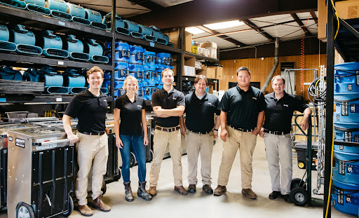 Disaster Plus Highlights Critical Importance of Professional Mold Removal